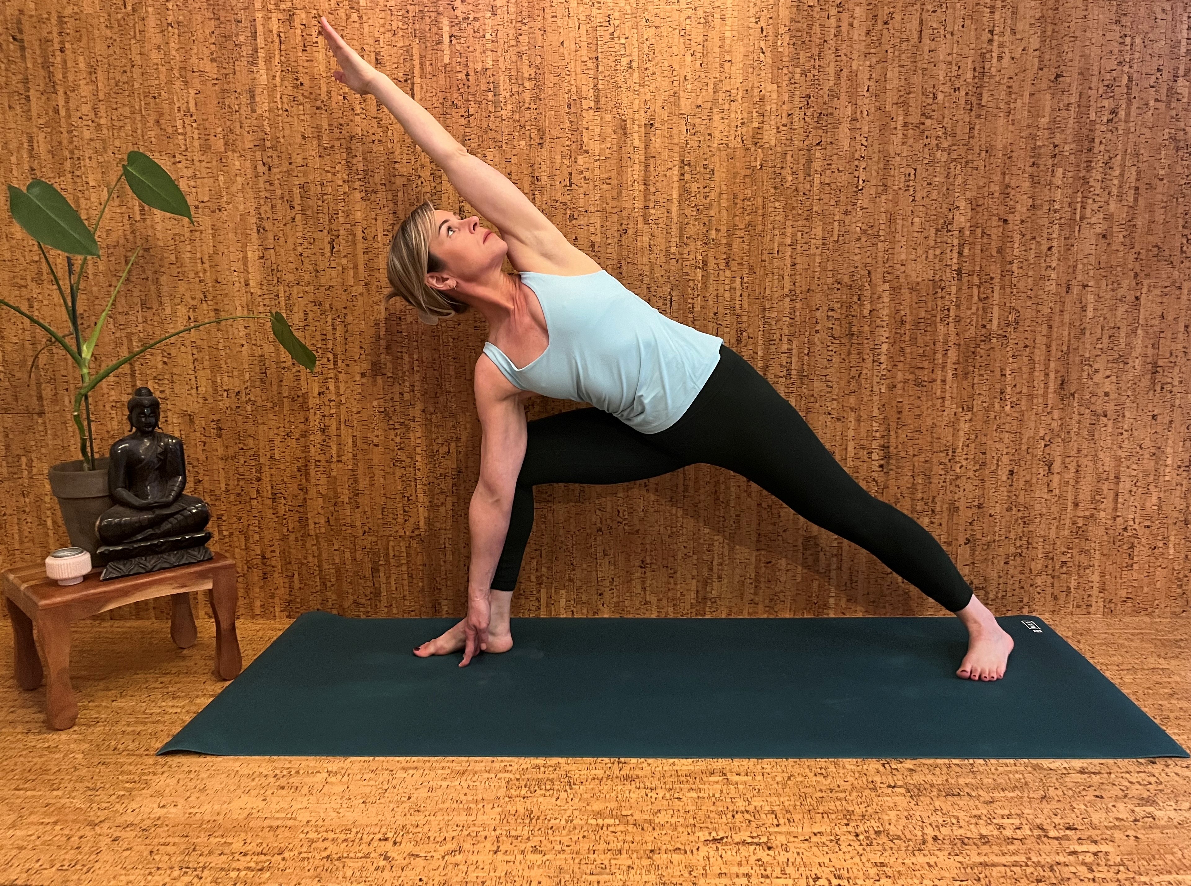 Hatha Yoga | Retour aux sources 